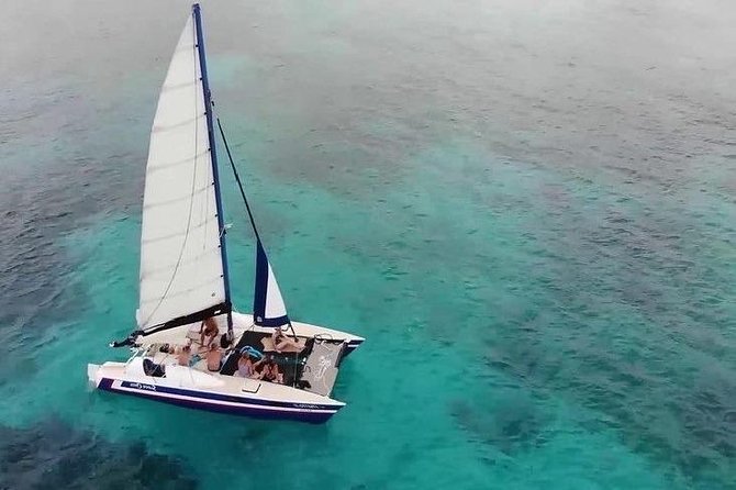 Barbados Catamaran Snorkel Cruise With Lunch and Open Bar - Small Group for an Intimate Experience