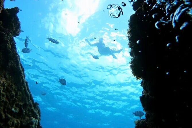 Barbados Catamaran Snorkeling Turtle and Shipwrecks tour - Final Thoughts: Is It Worth It?