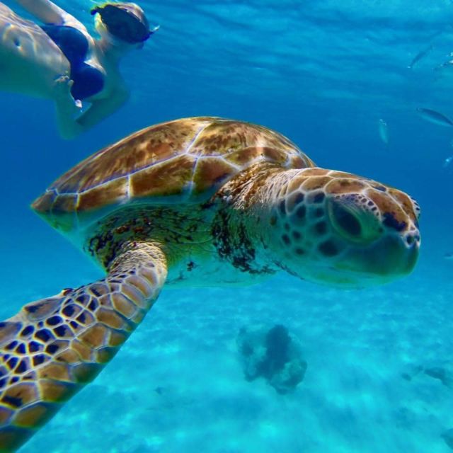 Barbados: Catamaran Tour With Snorkeling and Lunch - Pickup and Drop-off Information