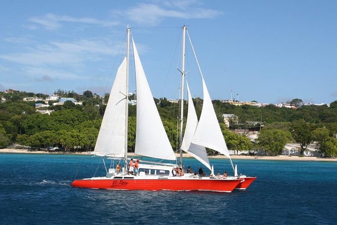 Barbados Catamaran Turtle and Shipwreck Snorkeling Cruise - Meeting and Pickup Details