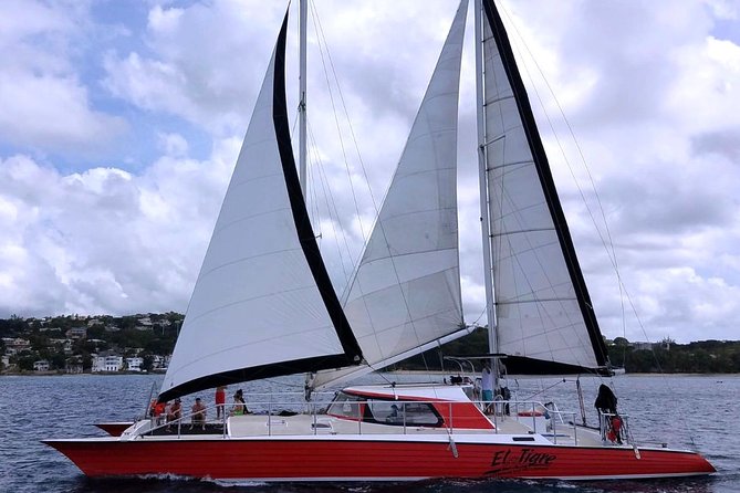 Barbados Catamaran Turtle and Shipwreck Snorkeling Cruise - Maximum Capacity and Vessel