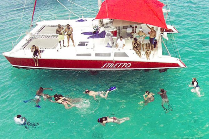 Barbados Catamaran Turtle Snorkel With Lunch and Open Bar - Inclusions and Amenities