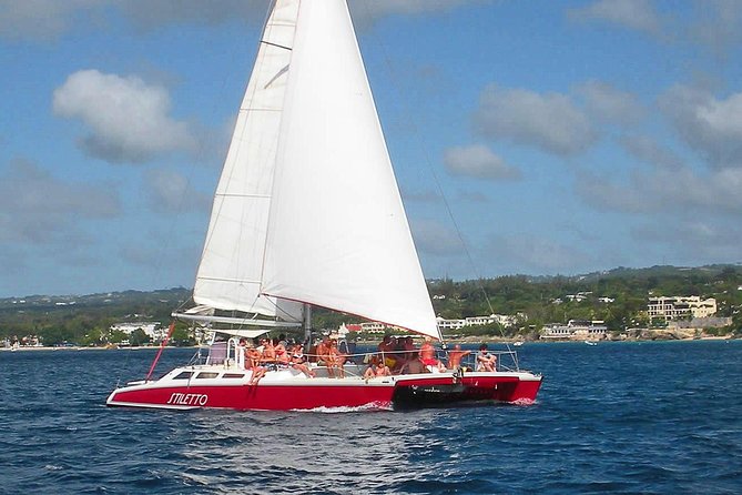 Barbados Catamaran Turtle Snorkel With Open Bar - Tour Details