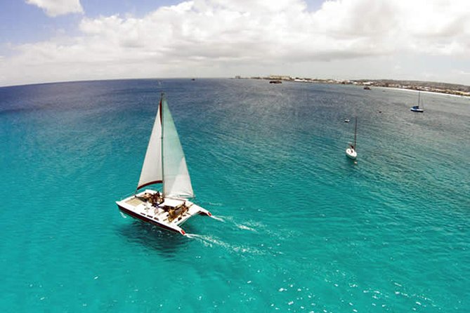 Barbados Catamaran Turtle Snorkel With Open Bar - Inclusions