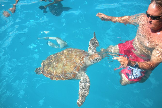 Barbados Catamaran Turtle Snorkel With Open Bar - Customer Feedback