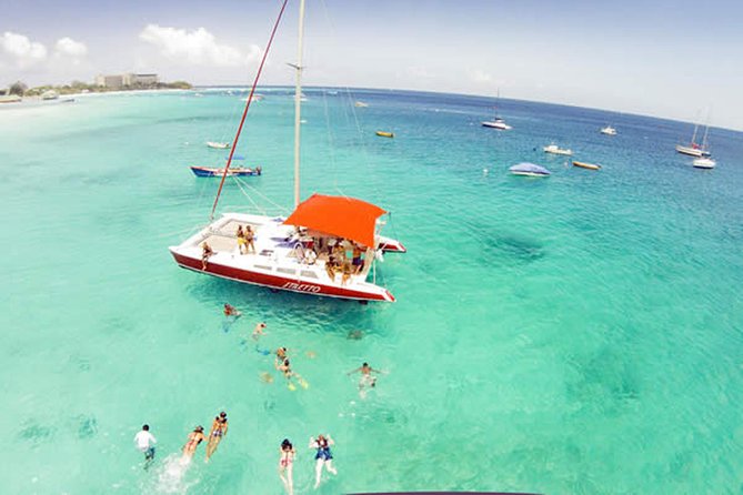Barbados Catamaran Turtle Snorkel With Open Bar - Personalized Small-Group Experience