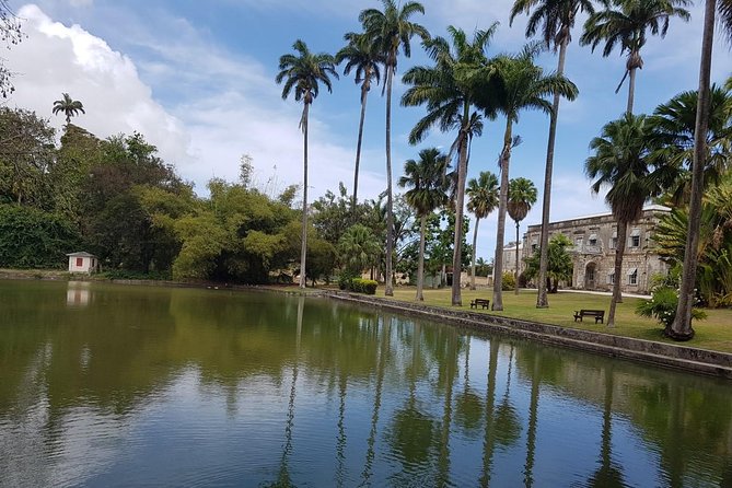 Barbados Coastal Sightseeing Private Tour - Accessibility and Participation