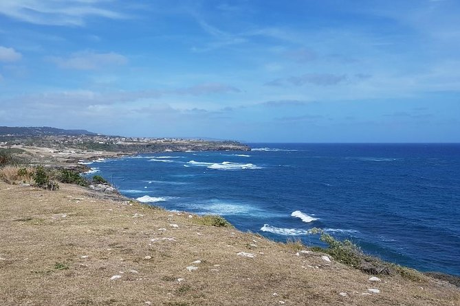 Barbados Coastal Sightseeing Private Tour - Reviews and Ratings