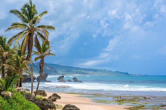 Barbados Coastal Tour - Tour Duration and Pricing