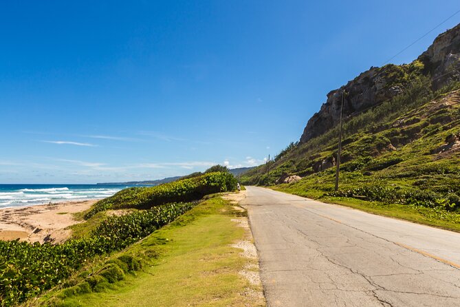 Barbados Coastal Tour - Dietary Requirements and Accommodations