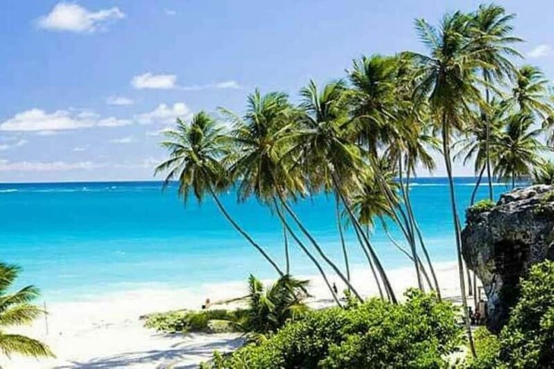 Barbados: Full-day Coast to Coast Tour - What to Expect from the Barbados Coast to Coast Tour
