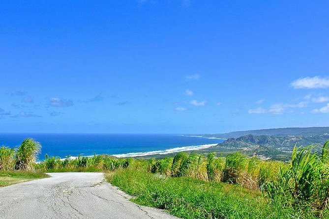 Barbados Full-day Coast to Coast Tour - Tour Recommendations
