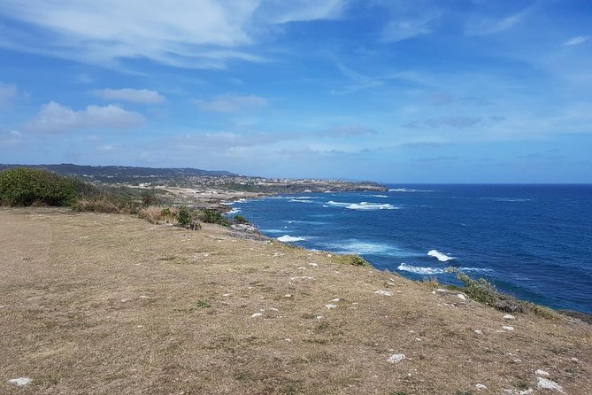 Barbados Full-day Private Tour - Exploring Local Culture and Cuisine