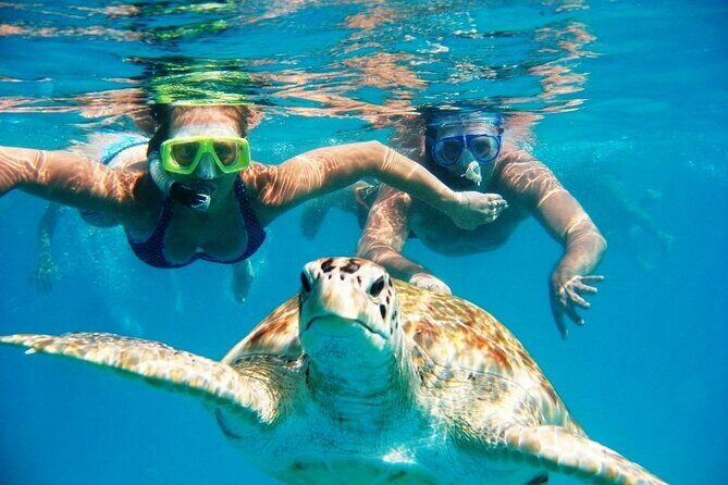 Barbados Glass Bottom Boat Cruise and Snorkeling - What to Expect: A Dive into the Day’s Highlights