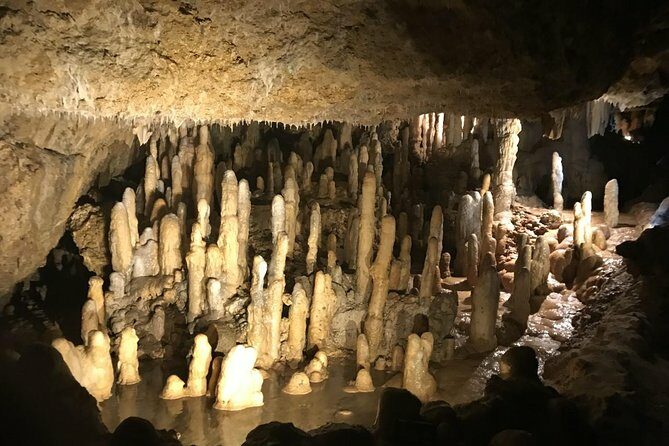 Barbados Half Day Private Tour - Harrison’s Cave: An Underground Marvel