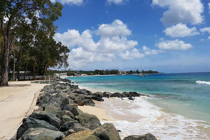 Barbados Half Day Private Tour - The Overall Experience