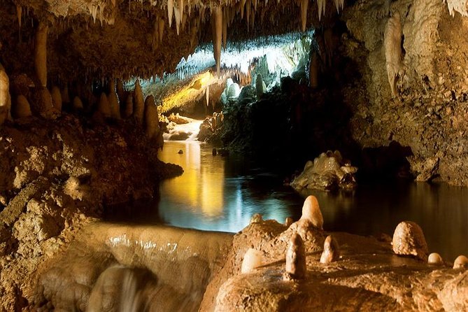Barbados Harrisons Cave and Atlantis Submarine Dive Tour - Guest Reviews and Ratings