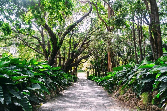 Barbados Harrisons Cave and St Nicolas Abbey Tour - Inclusions and Transport Details