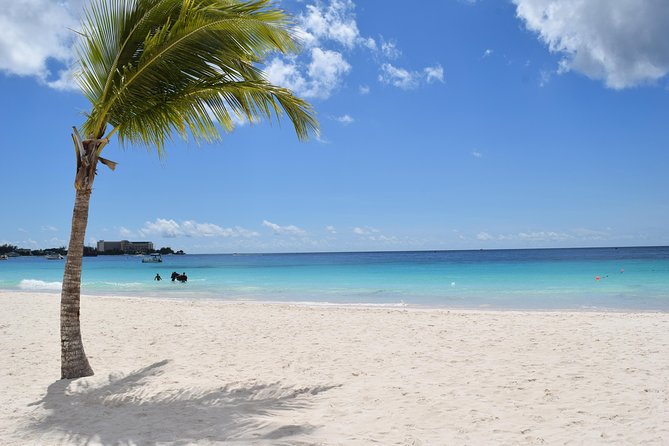 Barbados Harrisons Cave Tram Tour and Boat Cruise Snorkel Adventure - Inclusions and Exclusions