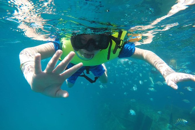 Barbados Harrisons Cave Tram Tour and Boat Cruise Snorkel Adventure - Boat Cruise and Snorkeling