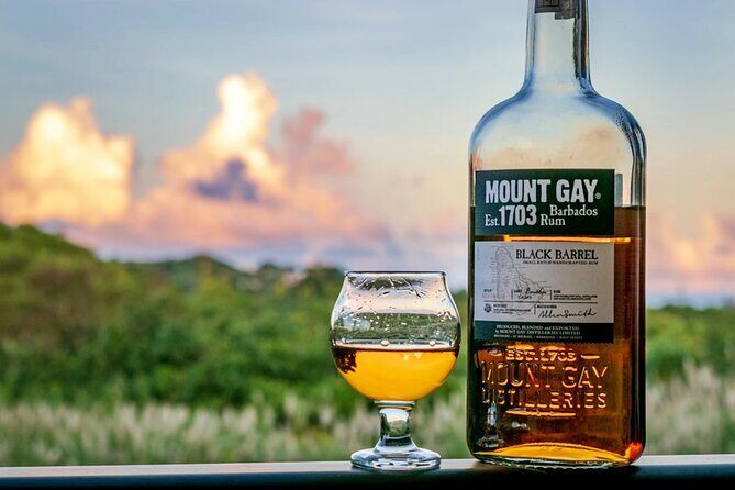 Barbados Highlights and Rum Tour - A Complete Breakdown of the Tour Experience