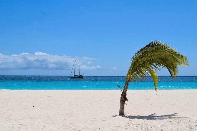 Barbados Highlights and Rum Tour - Who Will Love This Tour?