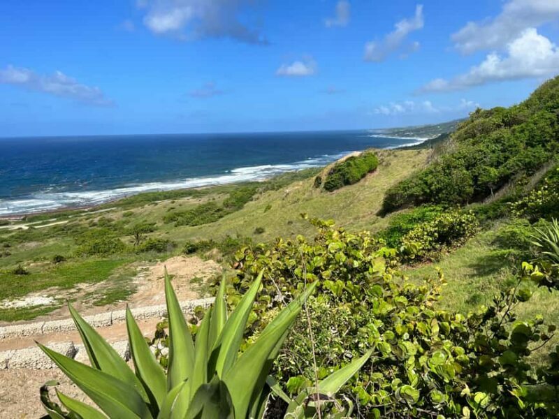 Barbados Highlights Tour - A Detailed Look at the Barbados Highlights Tour