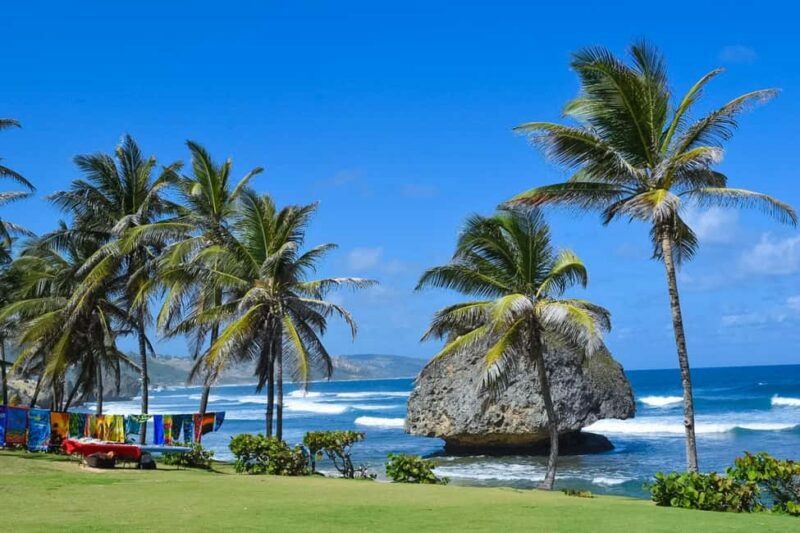 Barbados Highlights Tour - Final Thoughts