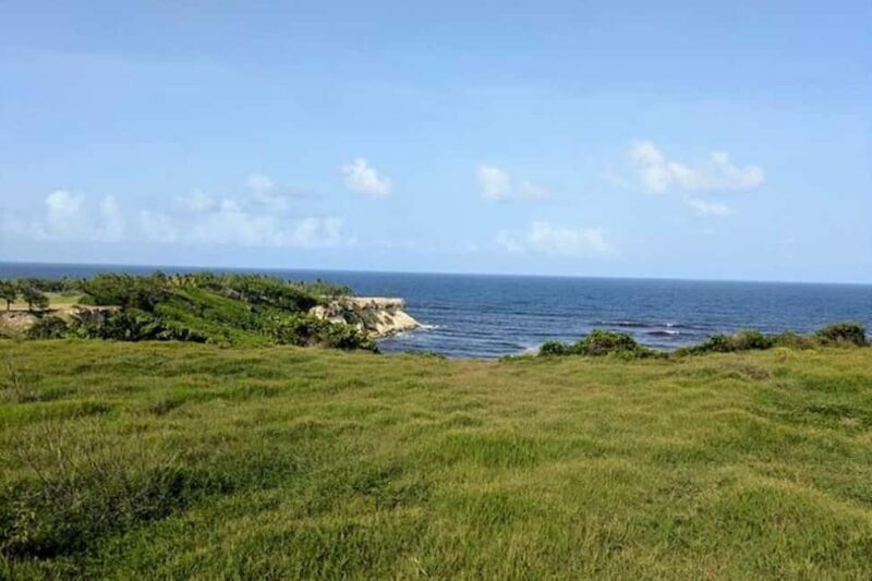 Barbados: Hiking and Sightseeing Tour - What to Expect from the Barbados Hiking and Sightseeing Tour