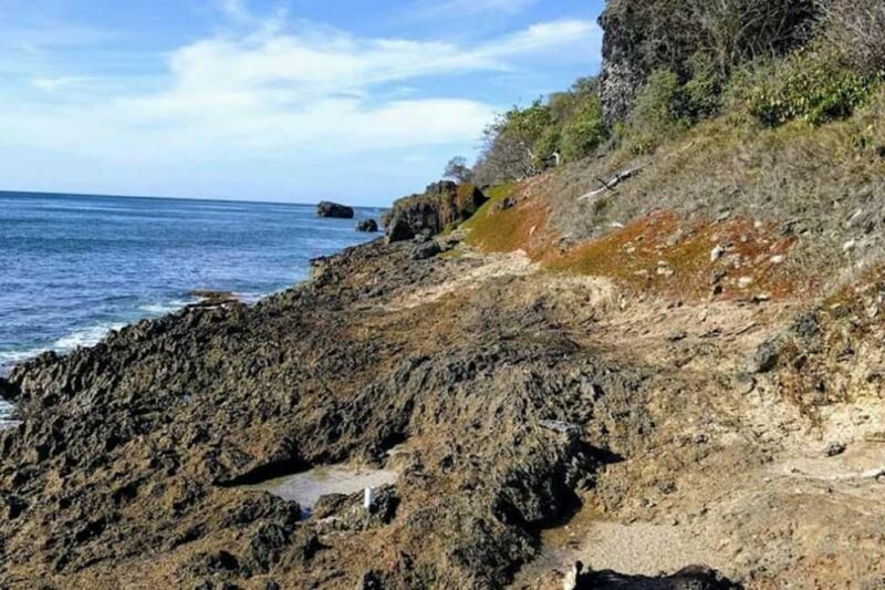 Barbados: Hiking and Sightseeing Tour - Why Choose This Experience?