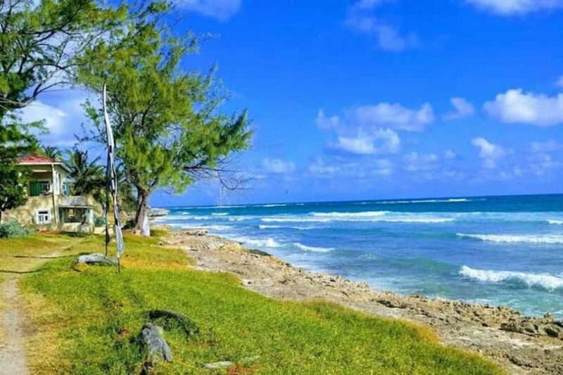 Barbados: Hiking and Sightseeing Tour - Real-Life Feedback from Travelers