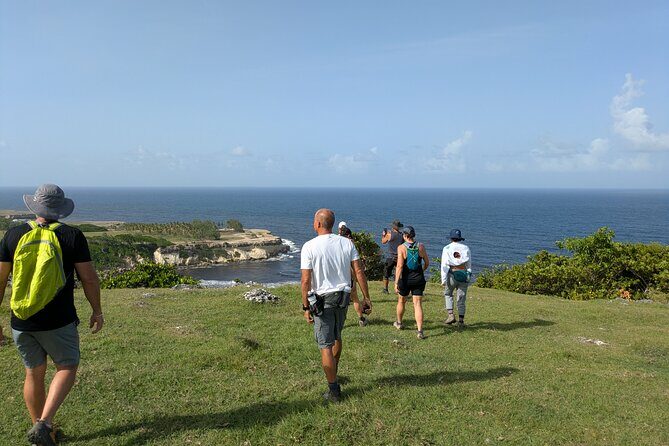 Barbados Hiking and Sightseeing Tour (Transport Included) - The Sum Up