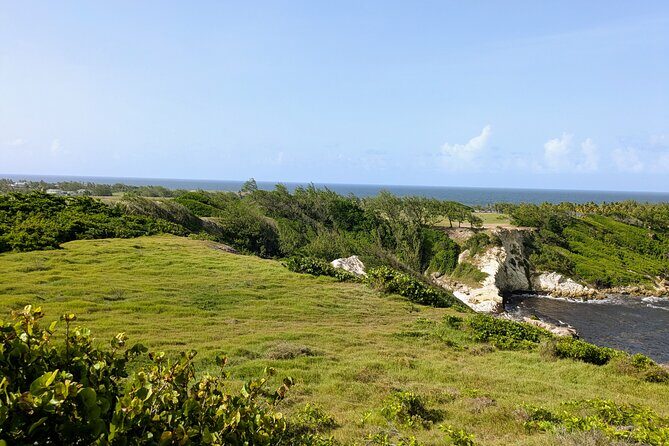 Barbados Hiking and Sightseeing Tour (Transport Included) - FAQs