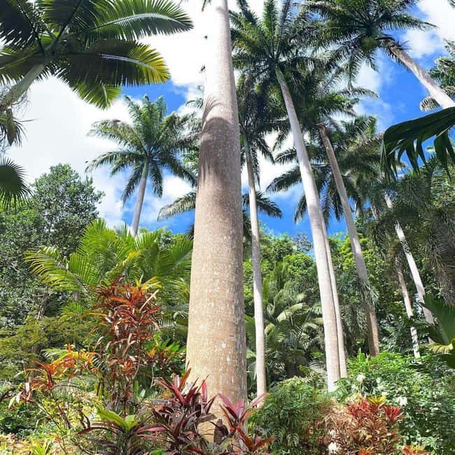 Barbados: Hunte's Garden, Artisan Studios, and Beach Tour - An Honest Look at the Experience