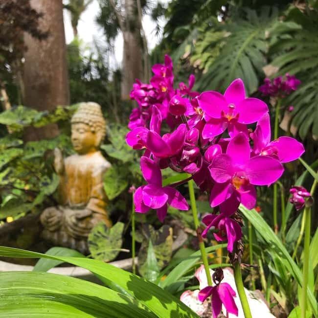 Barbados: Hunte's Garden, Artisan Studios, and Beach Tour - Final Thoughts: Is It Worth It?