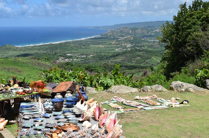 Barbados Island Highlights Half-Day Tour - The Sum Up