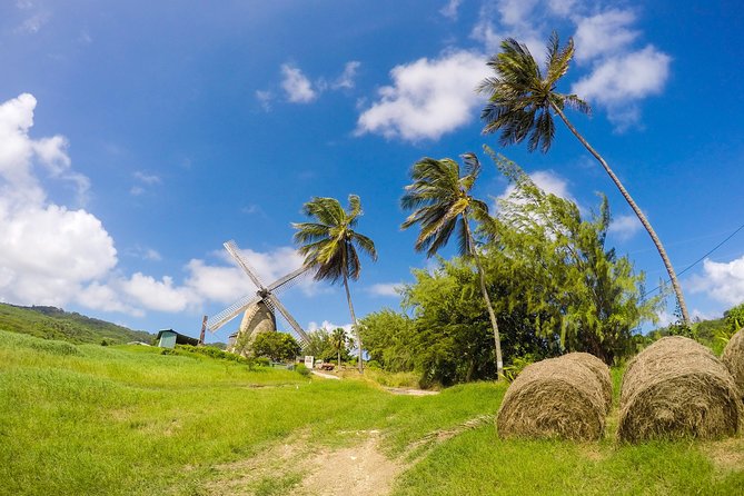 Barbados Island Tour, Monkey Feeding & Swimming With the Turtles - Pickup Information