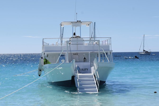 Barbados Island Tour, Monkey Feeding & Swimming With the Turtles - Important Notes