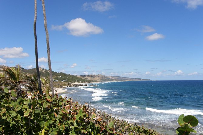Barbados Island Tour, Monkey Feeding & Swimming With the Turtles - Snorkeling Experience