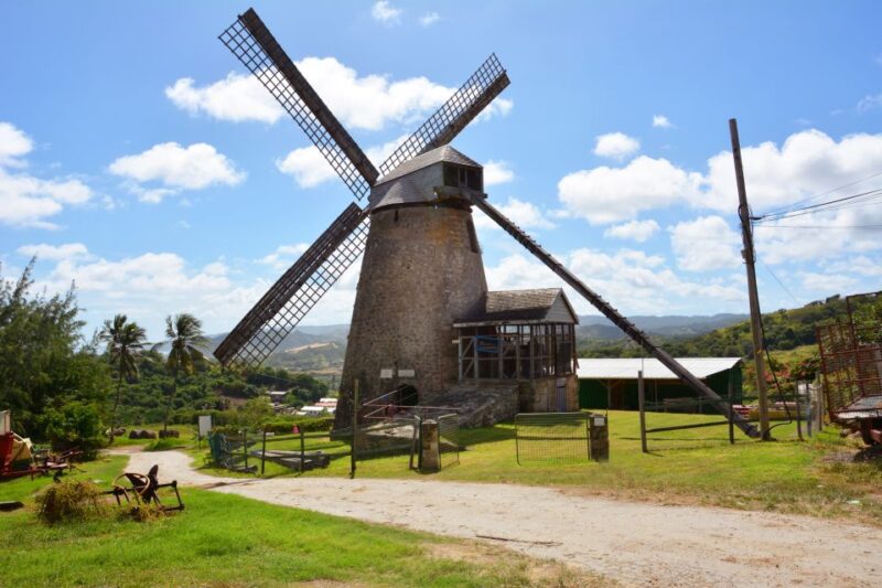 Barbados: Island Tour With Animal Flower Cave and Lunch - Highlights and Experiences