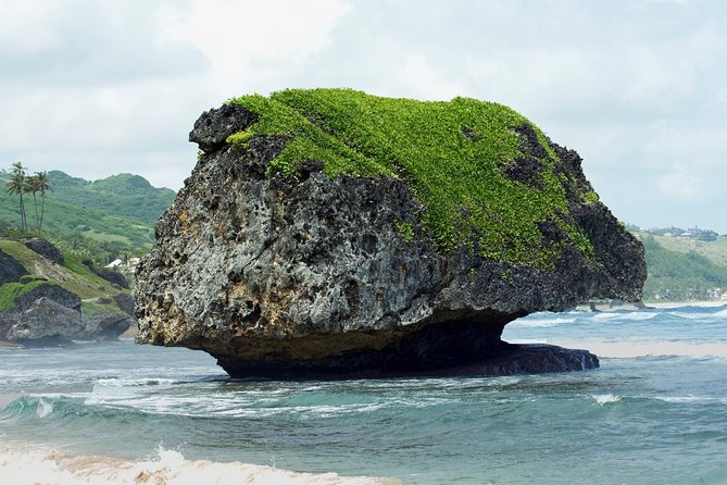 Barbados Island Tour With Lunch and Wildlife Sanctuary - Midday Lunch Overlooking Coast