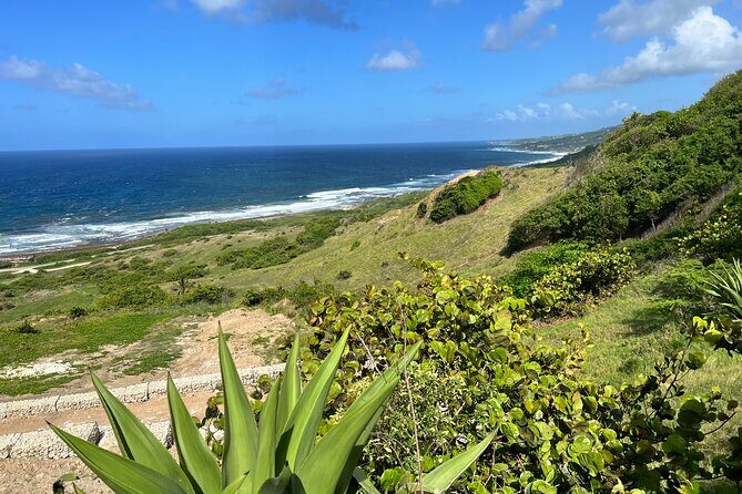 Barbados Paradise Tour with Hotel Transfers - A Detailed Look at the Barbados Paradise Tour
