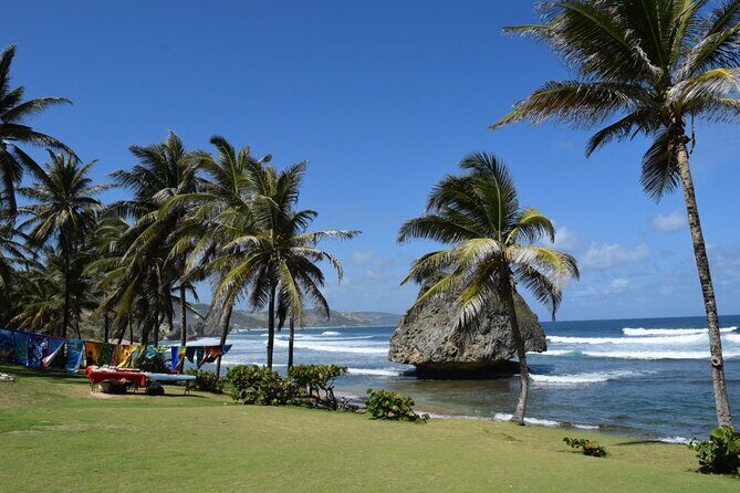 Barbados Paradise Tour with Hotel Transfers - Practical Details You Need to Know