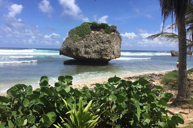 Barbados Paradise Tour with Hotel Transfers - The Sum Up: Who Will Love This Tour?