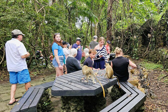 Barbados Private Island Tour: A Fully Customizable Experience - Exploring the Tour Offerings
