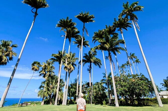 Barbados Private Island Tour: A Fully Customizable Experience - The Sum Up