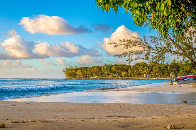 Barbados Reclaim Land Small Group Guided Tour in Pelican Island - Practical Tips