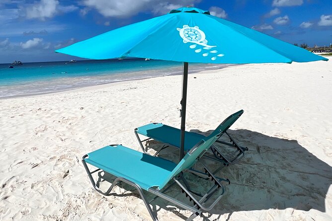 Barbados Shore Excursion Barbados Paradise Sightseeing Tour - Customer Feedback
