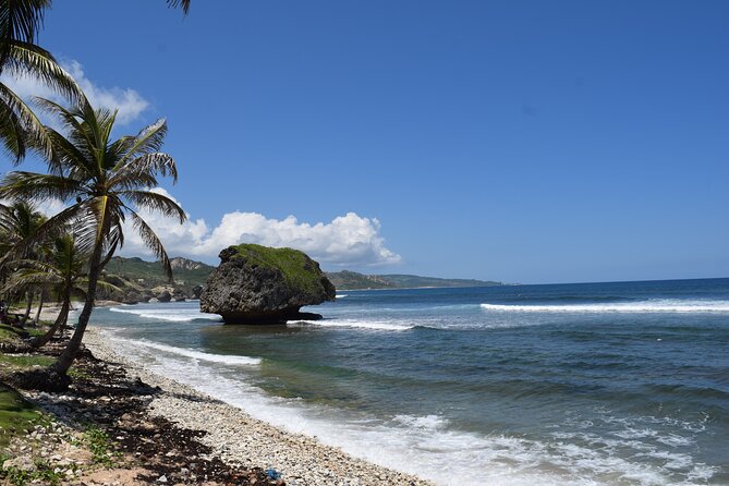 Barbados Shore Excursion: Barbados Surf & Turf - Exploring Bathsheba Beach