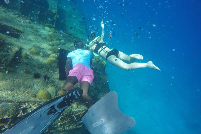 Barbados Shore Excursion: Carlisle Bay Turtle & Shipwreck - Included Experiences and Amenities